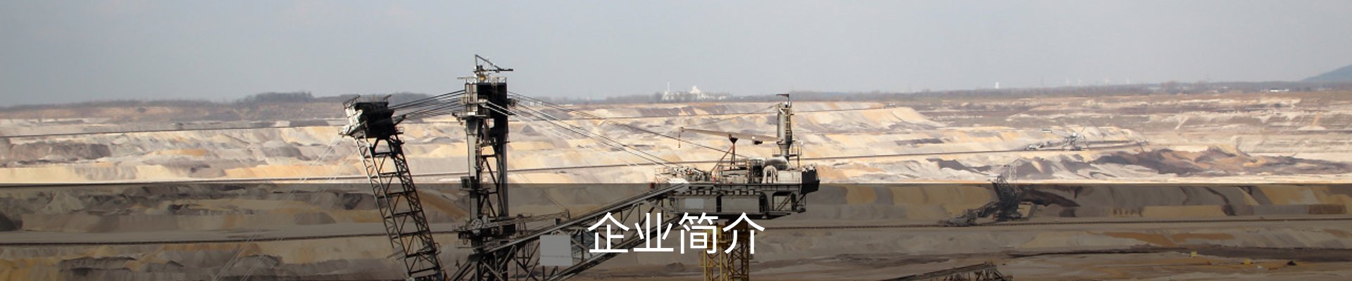 企业简介